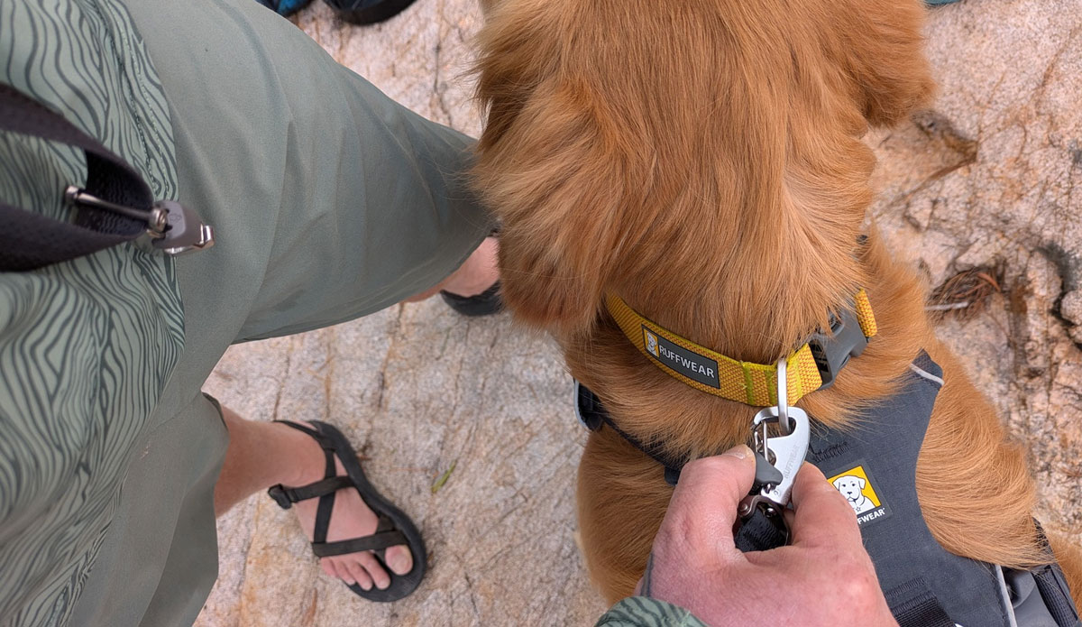 Ruffwear-Press-Paws