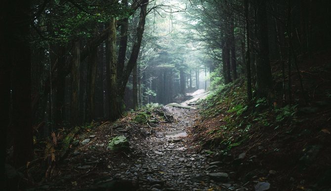 Hurricane Helene Damaged the Appalachian Trail, But It’s Not As Bad As a Viral Video Suggests