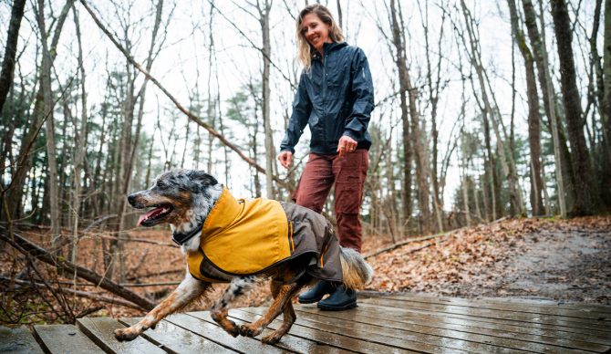 Ruffwear Winter Gear: Keep Your Dog Ready for Any Adventure This Season