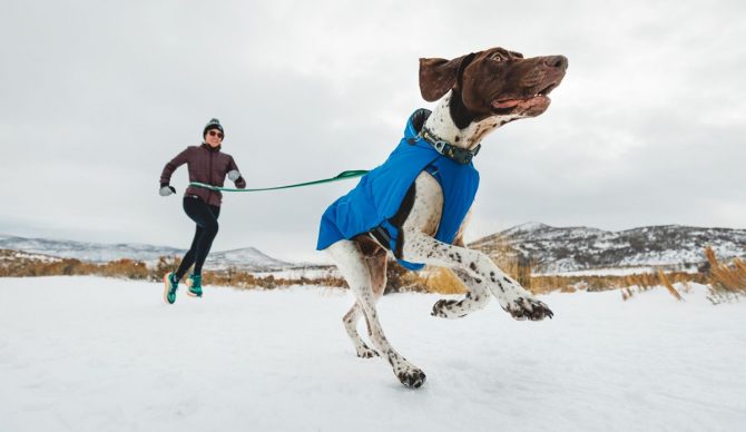 Ruffwear Winter Gear: Keep Your Dog Ready for Any Adventure This Season