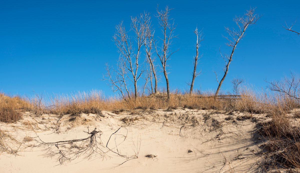 Indiana Dunes National Park