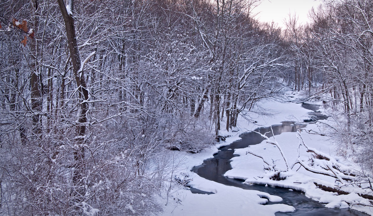 Waterfall Glen Forest Preserve