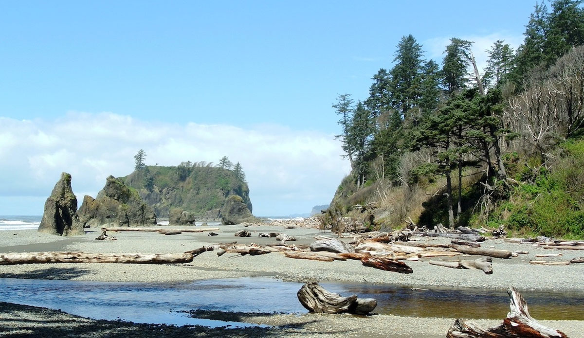 Ozette Triangle and Coast