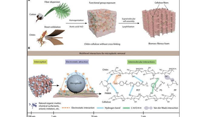 microplastics cleanup with foam