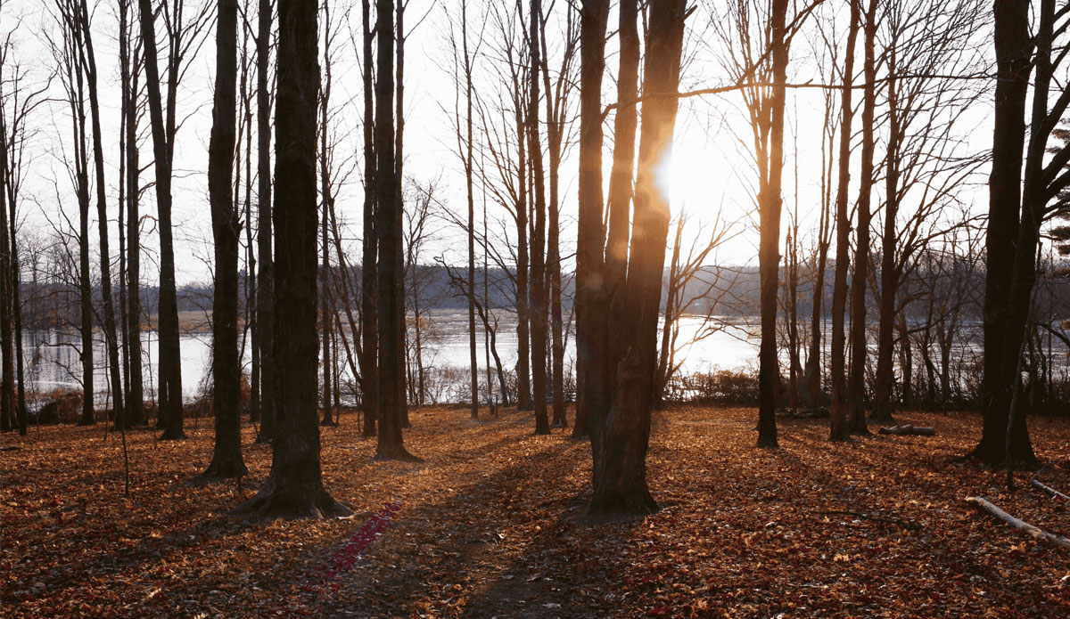 Ipswich River Wildlife Sanctuary