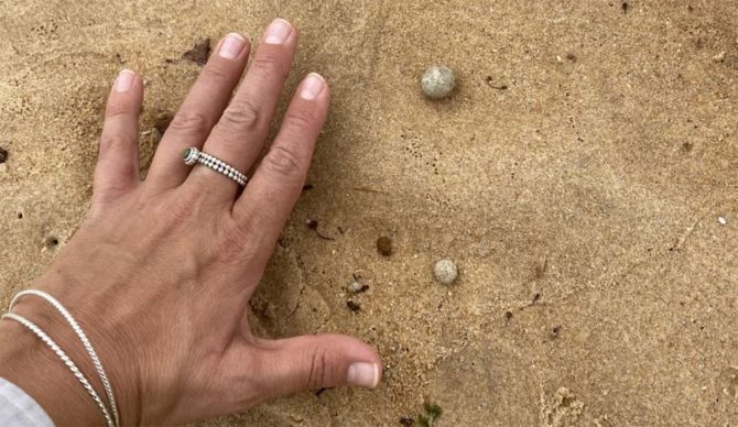 Sydney beaches closed for mysterious balls